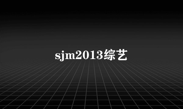 sjm2013综艺