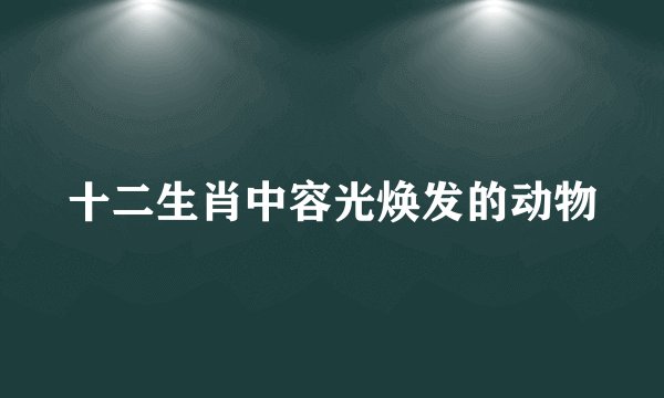 十二生肖中容光焕发的动物