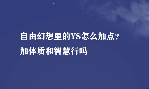 自由幻想里的YS怎么加点？加体质和智慧行吗