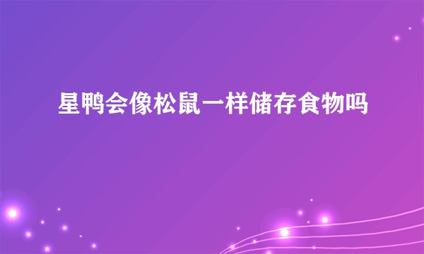 星鸭会像松鼠一样储存食物吗