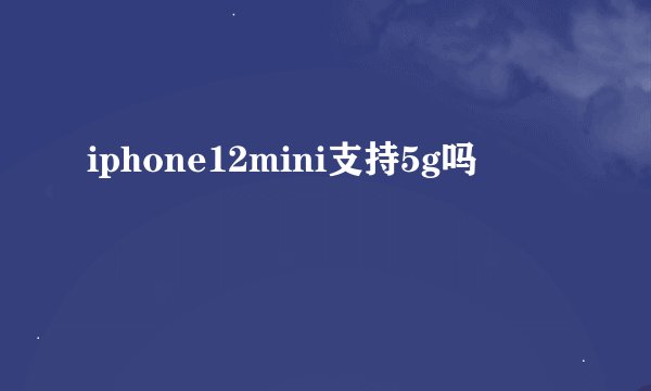 iphone12mini支持5g吗