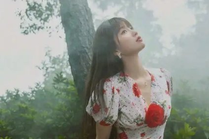 两个人的小森林哪个平台
