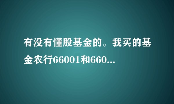 有没有懂股基金的。我买的基金农行66001和66003买了几年了