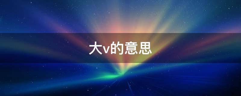 大V的意思
