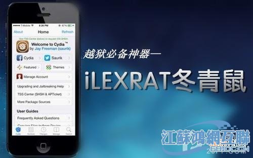iLEX RAT冬青鼠的安装与注意事项