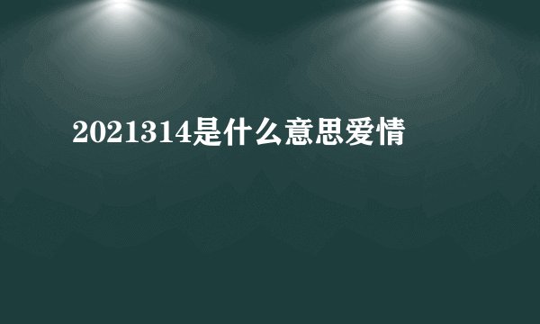 2021314是什么意思爱情