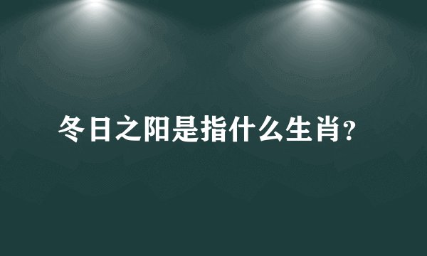 冬日之阳是指什么生肖？