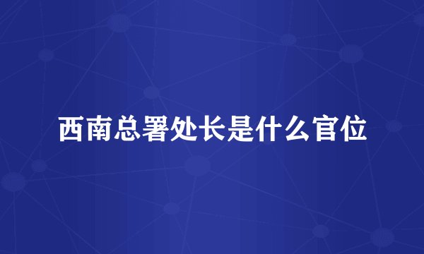 西南总署处长是什么官位