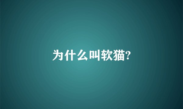 为什么叫软猫?