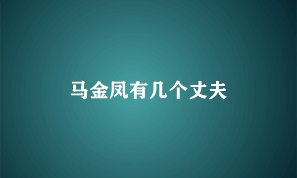 马金凤有几个丈夫