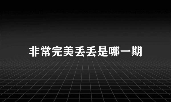 非常完美丢丢是哪一期