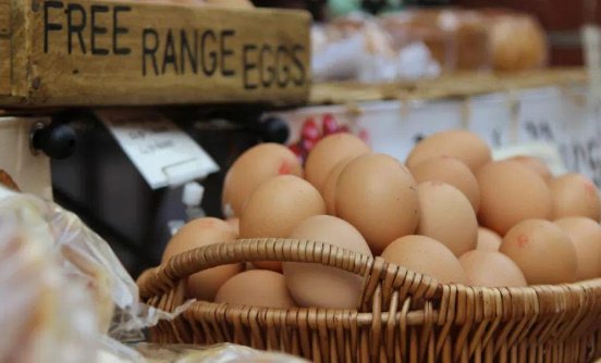 全球食品价格连续9个月上涨，导致上涨的原因都有哪些？