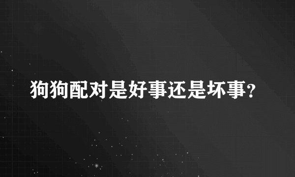 狗狗配对是好事还是坏事？
