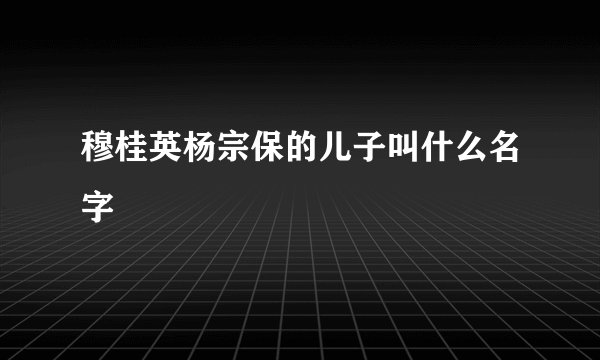 穆桂英杨宗保的儿子叫什么名字