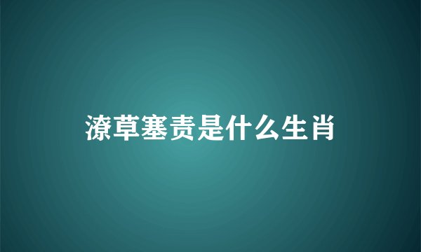 潦草塞责是什么生肖
