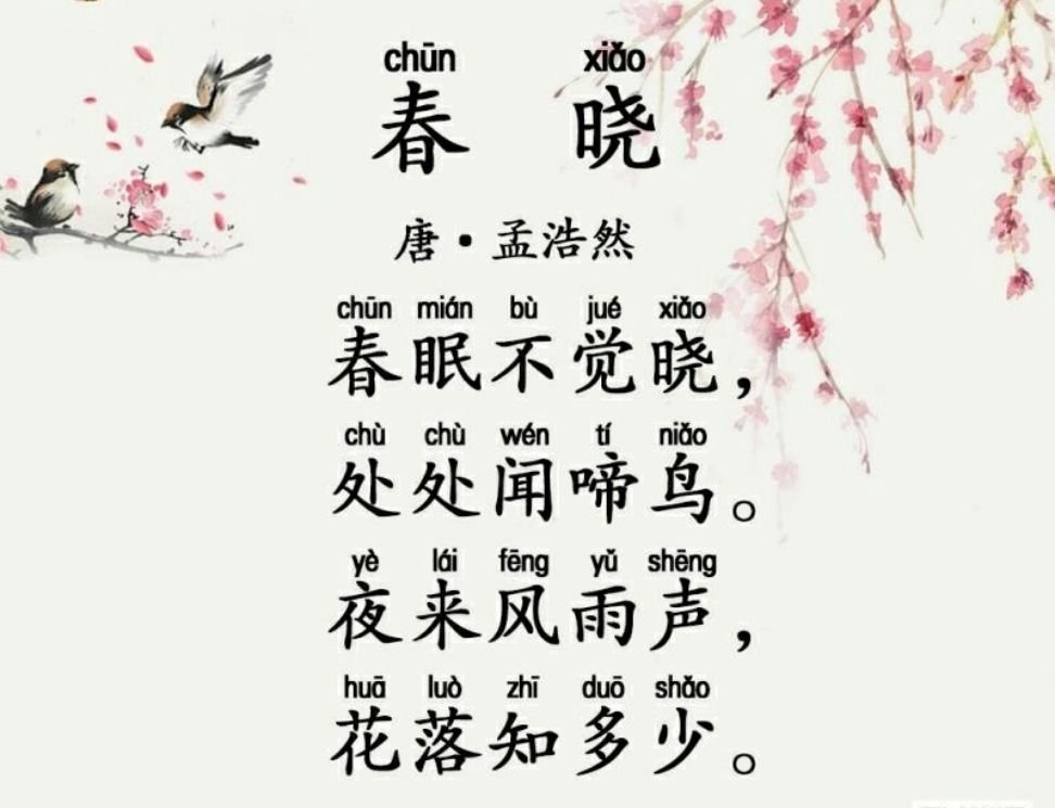 《春晓》的赏析是什么