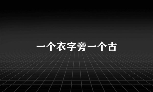 一个衣字旁一个古