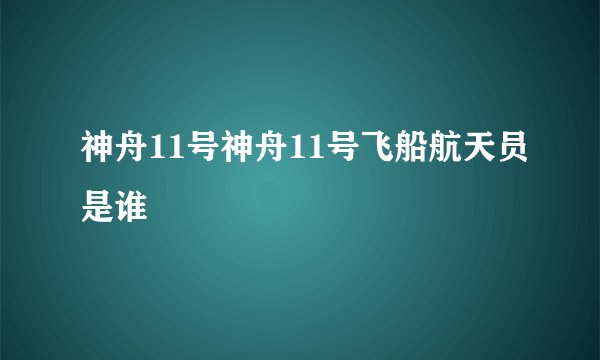 神舟11号神舟11号飞船航天员是谁