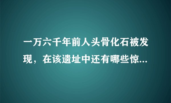一万六千年前人头骨化石被发现，在该遗址中还有哪些惊人文物出土？
