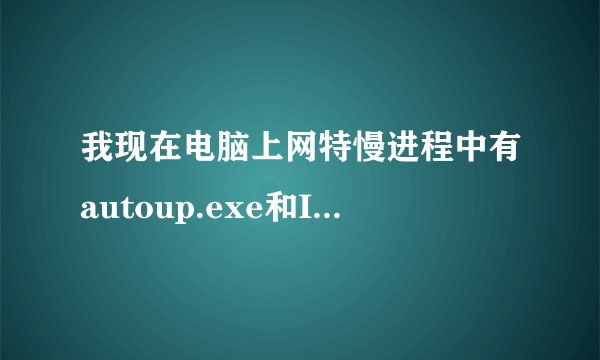 我现在电脑上网特慢进程中有autoup.exe和IEXPLORE.EXE是什么啊