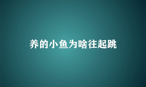 养的小鱼为啥往起跳