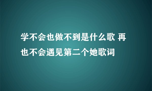 学不会也做不到是什么歌 再也不会遇见第二个她歌词