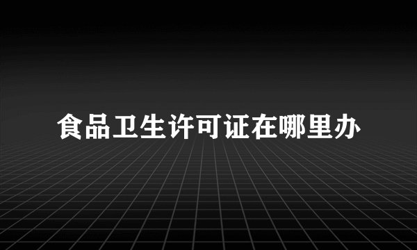 食品卫生许可证在哪里办