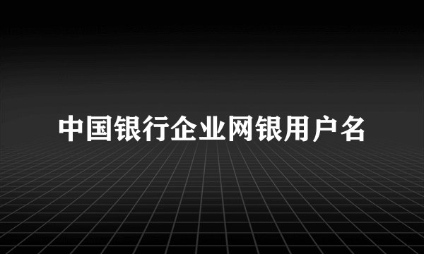 中国银行企业网银用户名