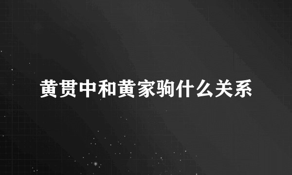 黄贯中和黄家驹什么关系