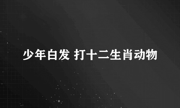 少年白发 打十二生肖动物