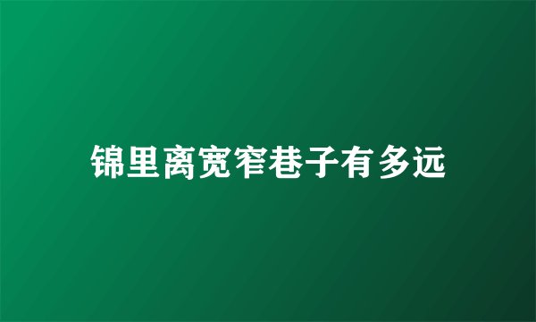 锦里离宽窄巷子有多远