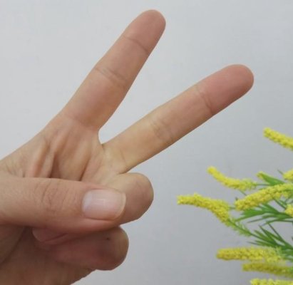 数字手势0到10的手势