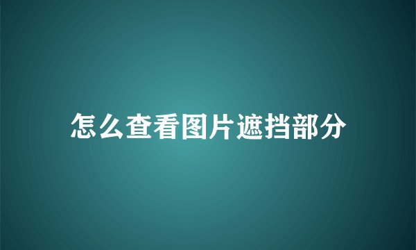 怎么查看图片遮挡部分