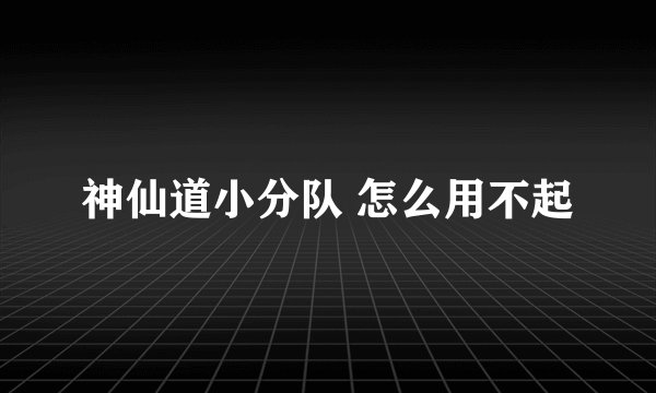 神仙道小分队 怎么用不起