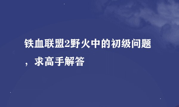 铁血联盟2野火中的初级问题，求高手解答