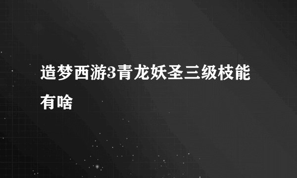 造梦西游3青龙妖圣三级枝能有啥