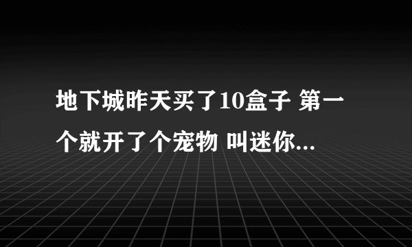 地下城昨天买了10盒子 第一个就开了个宠物 叫迷你缔造者 请问这个宠物好吗