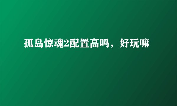 孤岛惊魂2配置高吗，好玩嘛