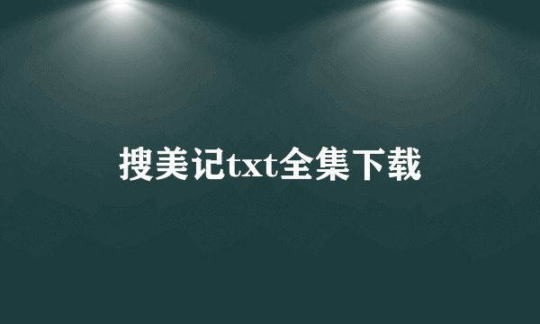 搜美记txt全集下载