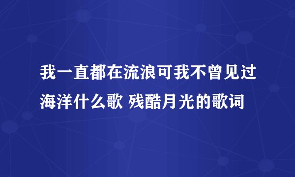 我一直都在流浪可我不曾见过海洋什么歌 残酷月光的歌词