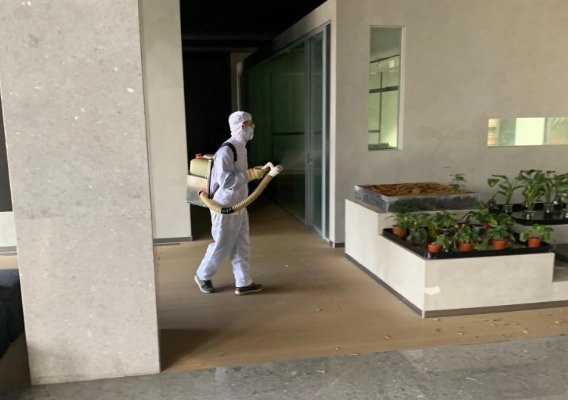 灭虫公司资质