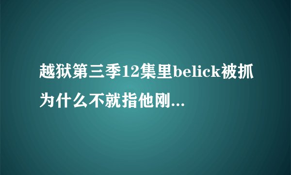 越狱第三季12集里belick被抓为什么不就指他刚爬出来的洞口呢？