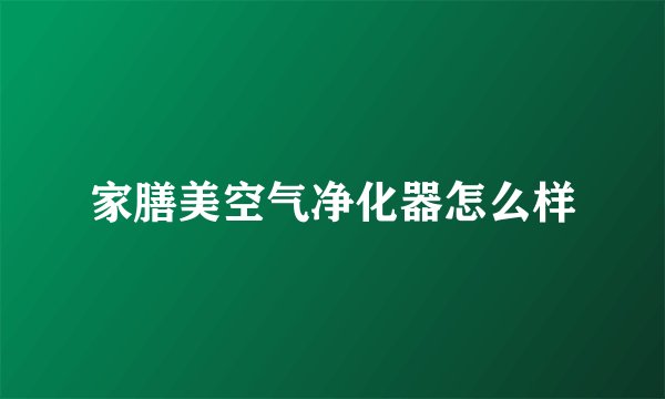 家膳美空气净化器怎么样