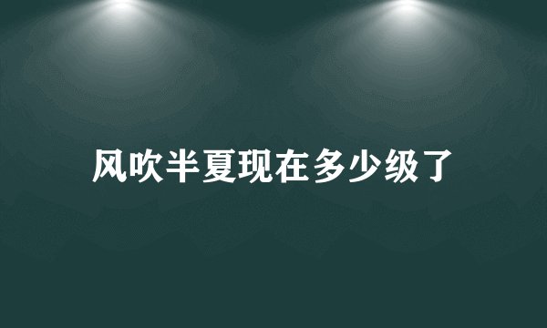 风吹半夏现在多少级了
