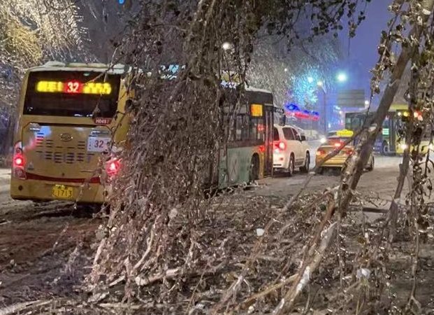 哈尔滨暴雪过后又来冻雨，给当地的交通带来了哪些影响？