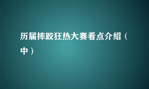 历届摔跤狂热大赛看点介绍（中）