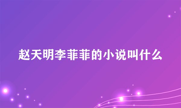 赵天明李菲菲的小说叫什么
