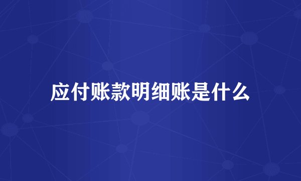 应付账款明细账是什么