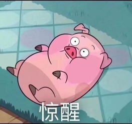 数千头猪听到音乐后回家吃饭，为何猪这么听话？