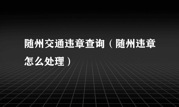 随州交通违章查询（随州违章怎么处理）
